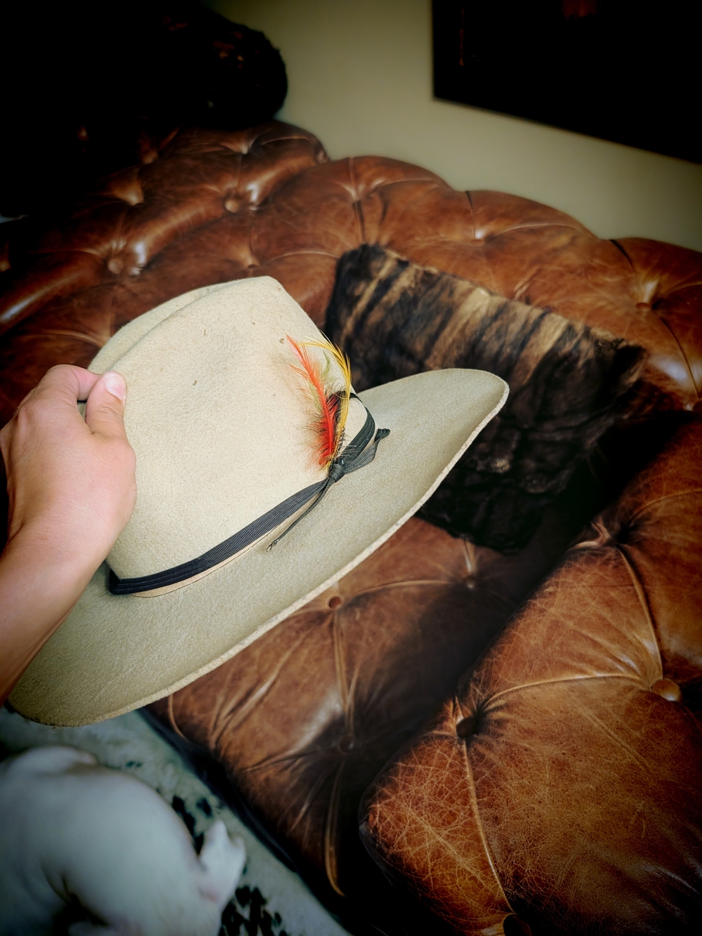 Men's Beige Felt Fedora Hat with Feather Trim